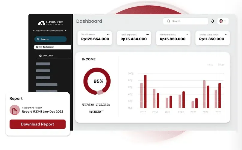 sistem akuntansi HashMicro