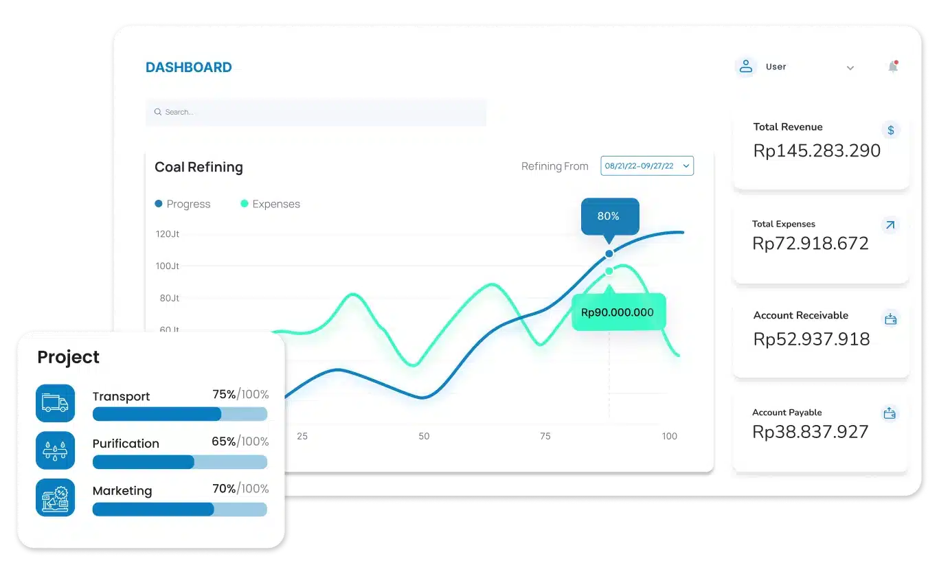 erp on premise