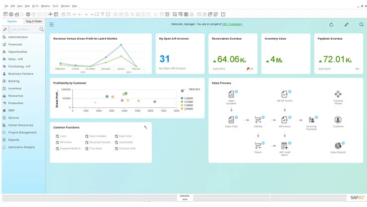 SAP Business One